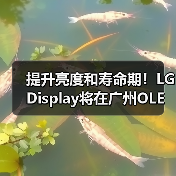 提升亮度和寿命期！LG Display将在广州OLED工厂量产四堆叠W-OLED面板（图3）