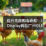 提升亮度和寿命期！LG Display将在广州OLED工厂量产四堆叠W-OLED面板（图2）