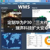 定制华为P30“三大件”，瑞声科技扩大安卓阵营