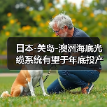 日本-关岛-澳洲海底光缆系统有望于年底投产（图4）