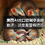 美国AI出口管制草案被批评：过度监管将把芯片市场拱手让给中国（图2）