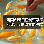 美国AI出口管制草案被批评：过度监管将把芯片市场拱手让给中国（图3）