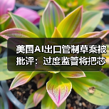 美国AI出口管制草案被批评：过度监管将把芯片市场拱手让给中国（图4）