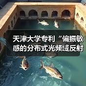 天津大学专利“偏振敏感的分布式光频域反射扰动传感装置和解调方法”荣获金奖（图2）