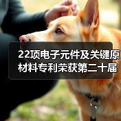 22项电子元件及关键原材料专利荣获第二十届中国专利奖（图2）
