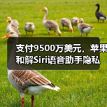 支付9500万美元，苹果和解Siri语音助手隐私窃听集体诉讼（图2）