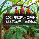 2024年韩国出口额达6838亿美元，半导体成增长主力