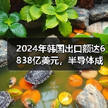 2024年韩国出口额达6838亿美元，半导体成增长主力（图4）