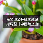 商务部公开征求意见，拟调整《中国禁止出口限制出口技术目录》（图2）