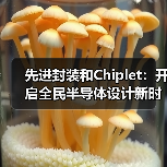 先进封装和Chiplet：开启全民半导体设计新时代（图3）