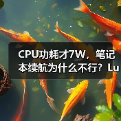 CPU功耗才7W，笔记本续航为什么不行？Lunar Lake VS Lakefield（图2）