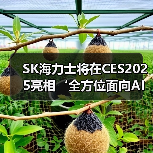 SK海力士将在CES2025亮相‘全方位面向AI的存储器供应商’的新蓝图（图2）