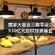 国家大基金三期等设立930亿元股权投资基金，目标芯片全产业链