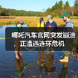 哪吒汽车官网突发崩溃，正遭遇连环危机（图4）
