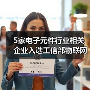 5家电子元件行业相关企业入选工信部物联网集成创新与融合应用项目（图3）