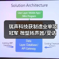 瑞声科技获制造业单项冠军 微型扬声器/受话器产品全球市场第一（图2）