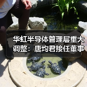 华虹半导体管理层重大调整：唐均君接任董事会主席，白鹏获委新任总裁（图2）
