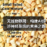 无线物联网：构建AI经济神经系统的未来之路（图4）