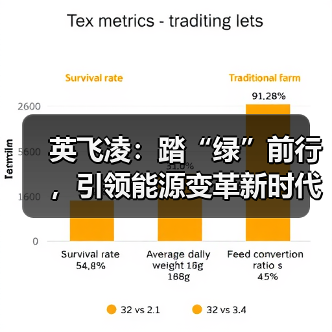 英飞凌：踏“绿”前行，引领能源变革新时代（图4）