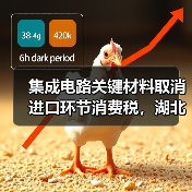 集成电路关键材料取消进口环节消费税，湖北企业将退税逾1500万元