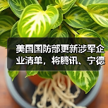 美国国防部更新涉军企业清单，将腾讯、宁德时代、长鑫存储等中企列入（图4）