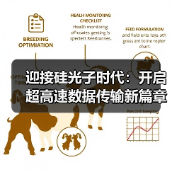 迎接硅光子时代：开启超高速数据传输新篇章（图2）