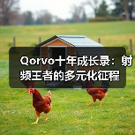 Qorvo十年成长录：射频王者的多元化征程（图4）