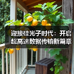 迎接硅光子时代：开启超高速数据传输新篇章