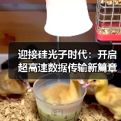 迎接硅光子时代：开启超高速数据传输新篇章（图4）