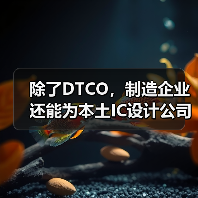 除了DTCO，制造企业还能为本土IC设计公司做些什么？（图4）