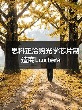 思科正洽购光学芯片制造商Luxtera