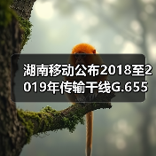 湖南移动公布2018至2019年传输干线G.655光缆及混合光缆采购比选公告