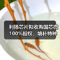 利扬芯片拟收购国芯微 100%股权，填补特种芯片相关领域空白（图2）