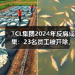 TCL集团2024年反腐成果：23名员工被开除，20人移送司法机关（图2）