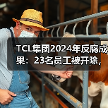 TCL集团2024年反腐成果：23名员工被开除，20人移送司法机关