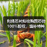 利扬芯片拟收购国芯微 100%股权，填补特种芯片相关领域空白