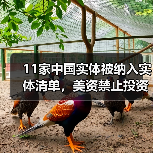 11家中国实体被纳入实体清单，美资禁止投资中国三个行业（图4）