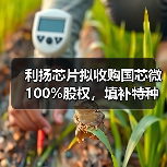 利扬芯片拟收购国芯微 100%股权，填补特种芯片相关领域空白（图4）