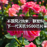 不跟风2纳米，联发科下一代天玑9500芯片采用台积电N3P工艺（图2）