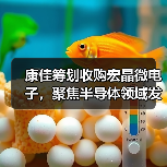 康佳筹划收购宏晶微电子，聚焦半导体领域发展（图4）
