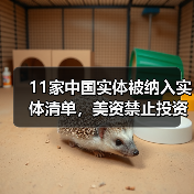 11家中国实体被纳入实体清单，美资禁止投资中国三个行业