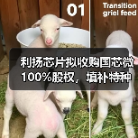 利扬芯片拟收购国芯微 100%股权，填补特种芯片相关领域空白（图3）