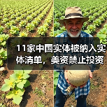 11家中国实体被纳入实体清单，美资禁止投资中国三个行业（图3）