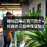 嫦娥四号近百只自主可控晶体元器件保证稳定精准（图3）