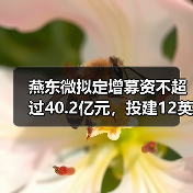 燕东微拟定增募资不超过40.2亿元，投建12英寸集成电路项目（图4）