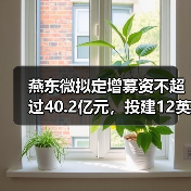 燕东微拟定增募资不超过40.2亿元，投建12英寸集成电路项目（图3）