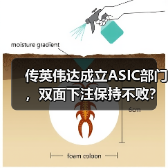 传英伟达成立ASIC部门，双面下注保持不败？（图2）