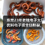 东莞23年老牌电子大厂优科电子资金链断裂，员工原地解散