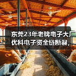 东莞23年老牌电子大厂优科电子资金链断裂，员工原地解散（图4）