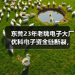 东莞23年老牌电子大厂优科电子资金链断裂，员工原地解散（图3）